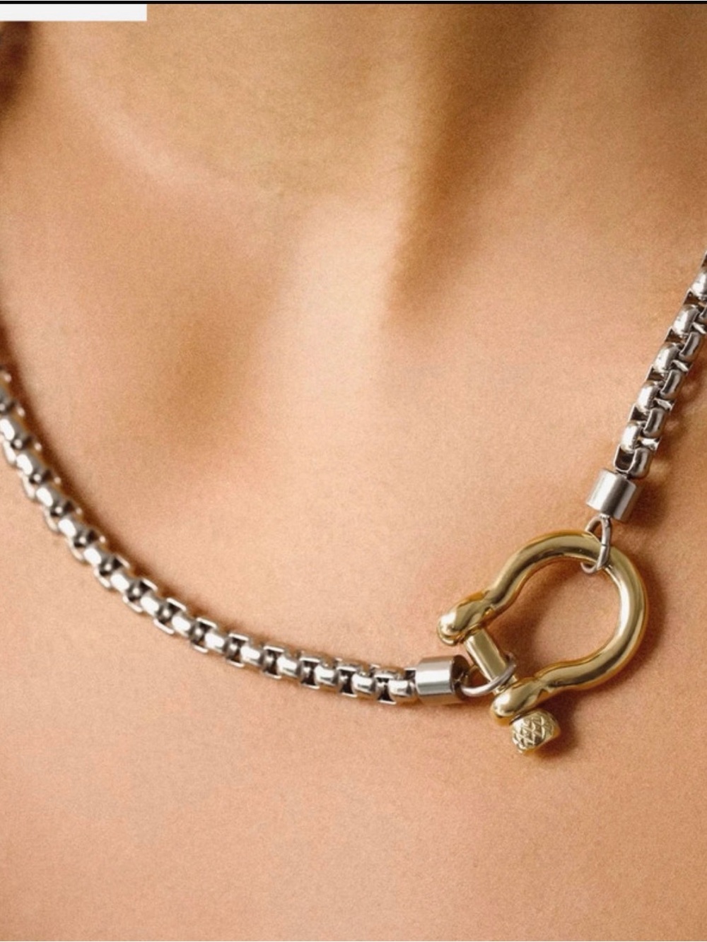 Silver and gold stainless steel women’s necklace horseshoe clasp waterproof New